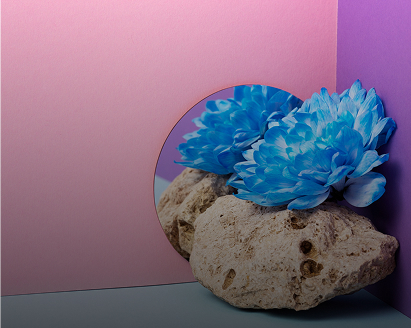 Nghệ thuật chọn quà cho người bận rộn